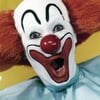 Bozo D.